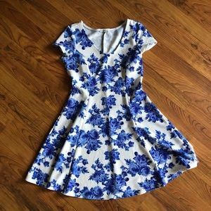 Blue and white VNeck circle dress